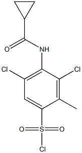3,5-dichloro-4-cyclopropaneamido-2-methylbenzene-1-sulfonyl chloride 结构式