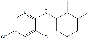 3,5-dichloro-N-(2,3-dimethylcyclohexyl)pyridin-2-amine 结构式