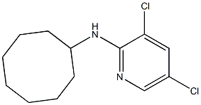 3,5-dichloro-N-cyclooctylpyridin-2-amine 结构式