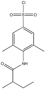 3,5-dimethyl-4-(2-methylbutanamido)benzene-1-sulfonyl chloride 结构式