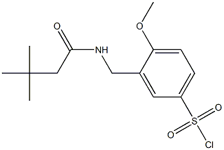 3-[(3,3-dimethylbutanamido)methyl]-4-methoxybenzene-1-sulfonyl chloride 结构式