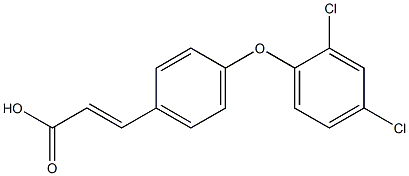 3-[4-(2,4-dichlorophenoxy)phenyl]prop-2-enoic acid 结构式