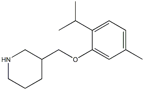 3-[5-methyl-2-(propan-2-yl)phenoxymethyl]piperidine 结构式