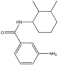 3-amino-N-(2,3-dimethylcyclohexyl)benzamide 结构式