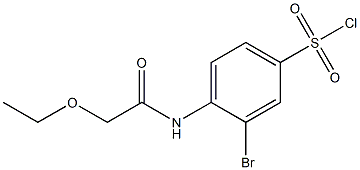 3-bromo-4-(2-ethoxyacetamido)benzene-1-sulfonyl chloride 结构式