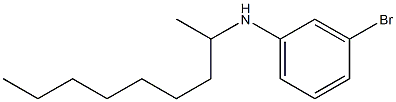 3-bromo-N-(nonan-2-yl)aniline 结构式