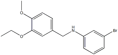 3-bromo-N-[(3-ethoxy-4-methoxyphenyl)methyl]aniline 结构式