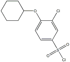 3-chloro-4-(cyclohexyloxy)benzene-1-sulfonyl chloride 结构式