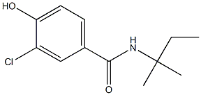 3-chloro-4-hydroxy-N-(2-methylbutan-2-yl)benzamide 结构式