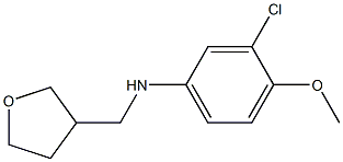 3-chloro-4-methoxy-N-(oxolan-3-ylmethyl)aniline 结构式