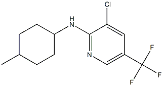 3-chloro-N-(4-methylcyclohexyl)-5-(trifluoromethyl)pyridin-2-amine 结构式