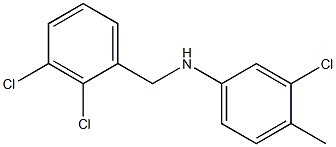 3-chloro-N-[(2,3-dichlorophenyl)methyl]-4-methylaniline 结构式