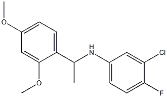 3-chloro-N-[1-(2,4-dimethoxyphenyl)ethyl]-4-fluoroaniline 结构式