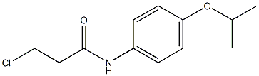 3-chloro-N-[4-(propan-2-yloxy)phenyl]propanamide 结构式