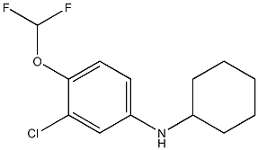 3-chloro-N-cyclohexyl-4-(difluoromethoxy)aniline 结构式