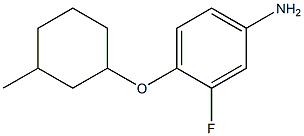 3-fluoro-4-[(3-methylcyclohexyl)oxy]aniline 结构式