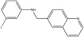 3-iodo-N-(quinolin-6-ylmethyl)aniline 结构式