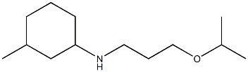 3-methyl-N-[3-(propan-2-yloxy)propyl]cyclohexan-1-amine 结构式