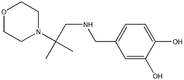 4-({[2-methyl-2-(morpholin-4-yl)propyl]amino}methyl)benzene-1,2-diol 结构式