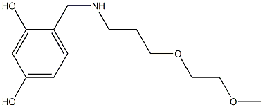 4-({[3-(2-methoxyethoxy)propyl]amino}methyl)benzene-1,3-diol 结构式