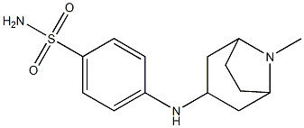 4-({8-methyl-8-azabicyclo[3.2.1]octan-3-yl}amino)benzene-1-sulfonamide 结构式