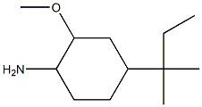 4-(1,1-dimethylpropyl)-2-methoxycyclohexanamine 结构式