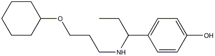 4-(1-{[3-(cyclohexyloxy)propyl]amino}propyl)phenol 结构式