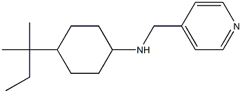4-(2-methylbutan-2-yl)-N-(pyridin-4-ylmethyl)cyclohexan-1-amine 结构式