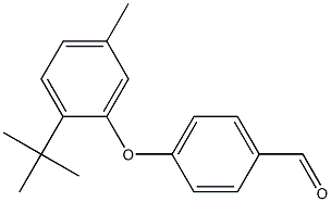 4-(2-tert-butyl-5-methylphenoxy)benzaldehyde 结构式