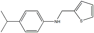 4-(propan-2-yl)-N-(thiophen-2-ylmethyl)aniline 结构式