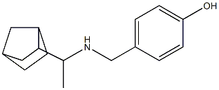 4-{[(1-{bicyclo[2.2.1]heptan-2-yl}ethyl)amino]methyl}phenol 结构式