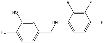 4-{[(2,3,4-trifluorophenyl)amino]methyl}benzene-1,2-diol 结构式