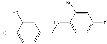 4-{[(2-bromo-4-fluorophenyl)amino]methyl}benzene-1,2-diol 结构式