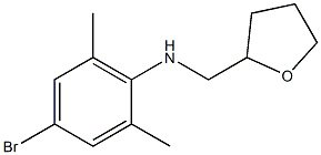 4-bromo-2,6-dimethyl-N-(oxolan-2-ylmethyl)aniline 结构式