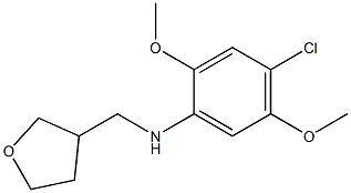 4-chloro-2,5-dimethoxy-N-(oxolan-3-ylmethyl)aniline 结构式