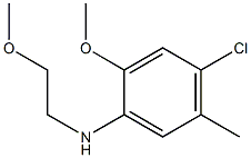 4-chloro-2-methoxy-N-(2-methoxyethyl)-5-methylaniline 结构式