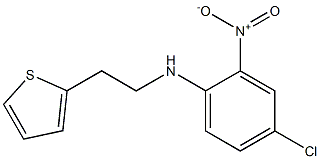 4-chloro-2-nitro-N-[2-(thiophen-2-yl)ethyl]aniline 结构式