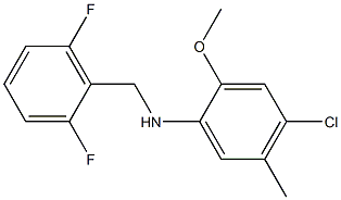 4-chloro-N-[(2,6-difluorophenyl)methyl]-2-methoxy-5-methylaniline 结构式