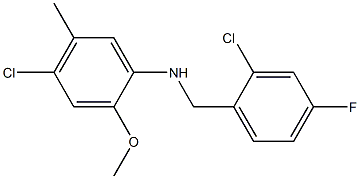 4-chloro-N-[(2-chloro-4-fluorophenyl)methyl]-2-methoxy-5-methylaniline 结构式