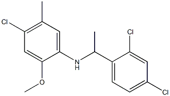 4-chloro-N-[1-(2,4-dichlorophenyl)ethyl]-2-methoxy-5-methylaniline 结构式