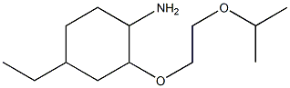 4-ethyl-2-[2-(propan-2-yloxy)ethoxy]cyclohexan-1-amine 结构式