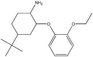 4-tert-butyl-2-(2-ethoxyphenoxy)cyclohexan-1-amine 结构式