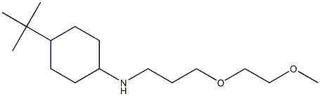 4-tert-butyl-N-[3-(2-methoxyethoxy)propyl]cyclohexan-1-amine 结构式