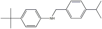 4-tert-butyl-N-{[4-(propan-2-yl)phenyl]methyl}aniline 结构式