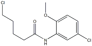 5-chloro-N-(5-chloro-2-methoxyphenyl)pentanamide 结构式
