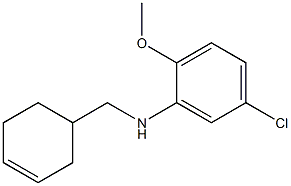 5-chloro-N-(cyclohex-3-en-1-ylmethyl)-2-methoxyaniline 结构式