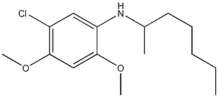 5-chloro-N-(heptan-2-yl)-2,4-dimethoxyaniline 结构式