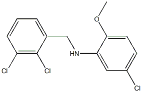 5-chloro-N-[(2,3-dichlorophenyl)methyl]-2-methoxyaniline 结构式