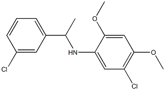 5-chloro-N-[1-(3-chlorophenyl)ethyl]-2,4-dimethoxyaniline 结构式