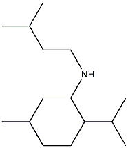 5-methyl-N-(3-methylbutyl)-2-(propan-2-yl)cyclohexan-1-amine 结构式